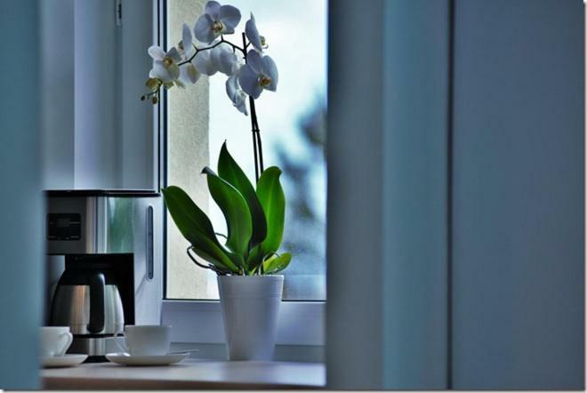 Cozy Base Huoneisto Gdańsk